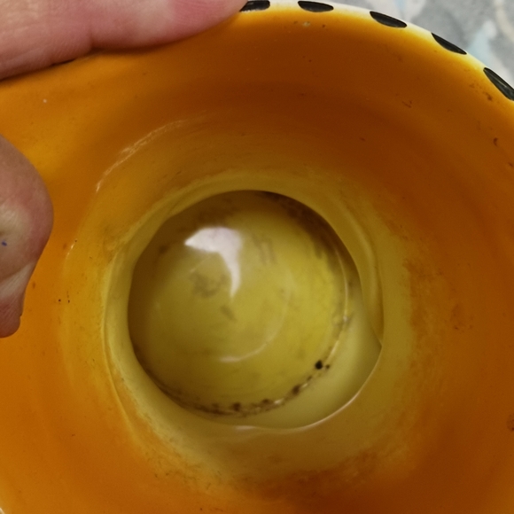 Pitcher - Picture 2 of 3